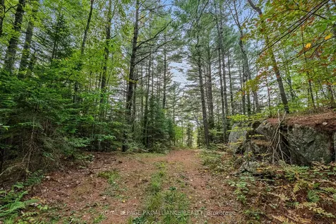 00 Highway 41 N/a Addington Highlands ON K0H 1Z0