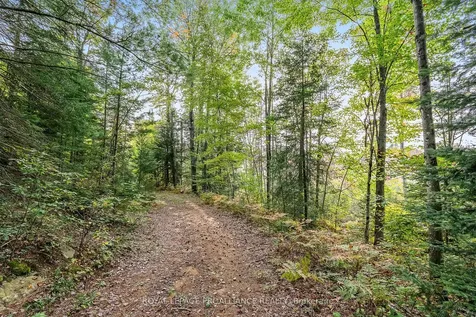 00 Highway 41 N/a Addington Highlands ON K0H 1Z0