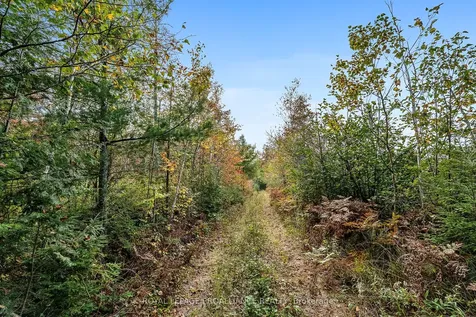 00 Highway 41 N/a Addington Highlands ON K0H 1Z0