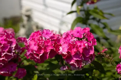 1539 Larmer Line Cavan Monaghan ON K0L 1V0