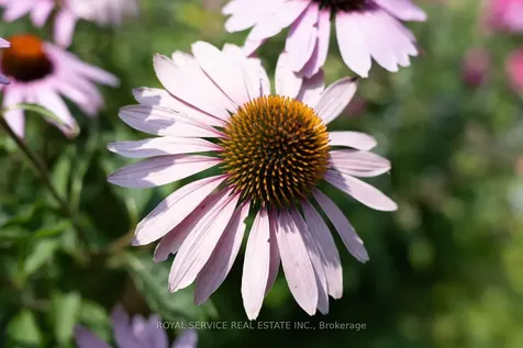 1539 Larmer Line Cavan Monaghan ON K0L 1V0