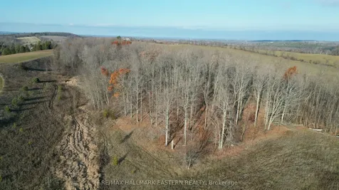 461 Concession 11 N/a E Trent Hills ON K0L 1L0
