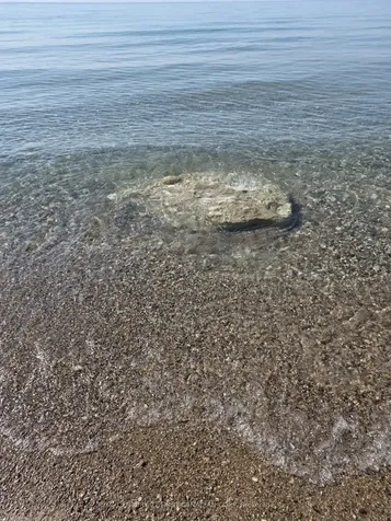 75061 Elmslie Drive S Bluewater ON N0M 1G0