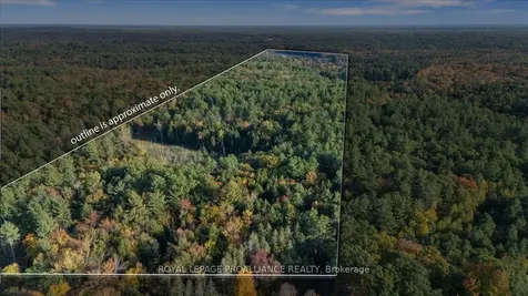 2650B Upper Flinton Road Addington Highlands ON K0H 1P0