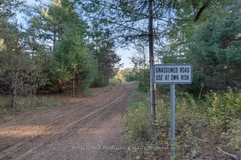 2650B Upper Flinton Road Addington Highlands ON K0H 1P0