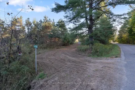 2650B Upper Flinton Road Addington Highlands ON K0H 1P0