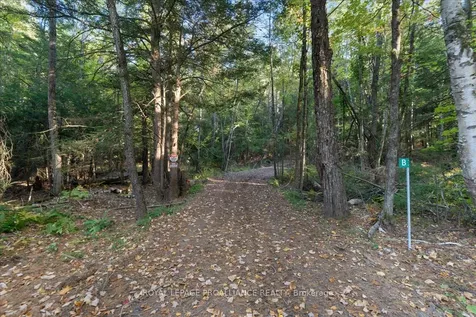 2650B Upper Flinton Road Addington Highlands ON K0H 1P0