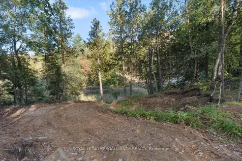 2650B Upper Flinton Road Addington Highlands ON K0H 1P0