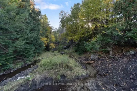 2650B Upper Flinton Road Addington Highlands ON K0H 1P0