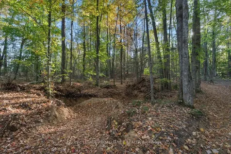 2650B Upper Flinton Road Addington Highlands ON K0H 1P0