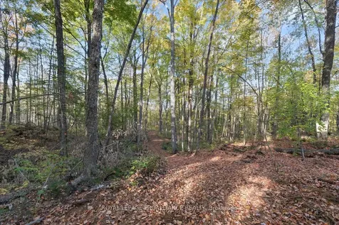 2650B Upper Flinton Road Addington Highlands ON K0H 1P0