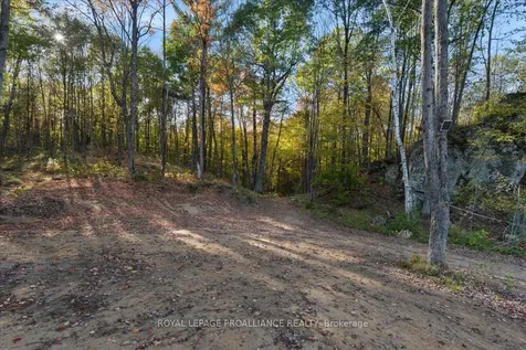 2650B Upper Flinton Road Addington Highlands ON K0H 1P0