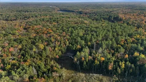 2650B Upper Flinton Road Addington Highlands ON K0H 1P0