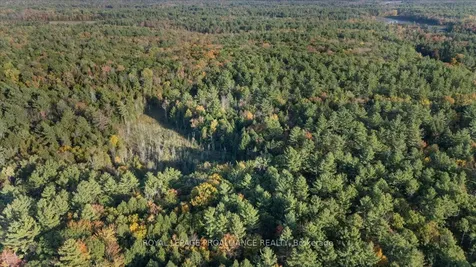 2650B Upper Flinton Road Addington Highlands ON K0H 1P0