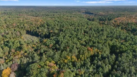 2650B Upper Flinton Road Addington Highlands ON K0H 1P0