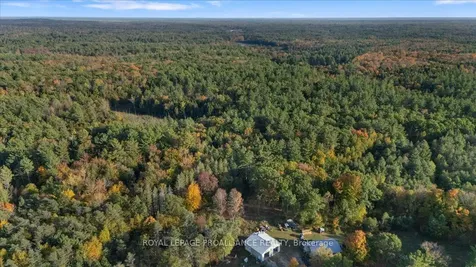 2650B Upper Flinton Road Addington Highlands ON K0H 1P0