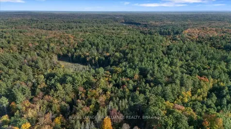 2650B Upper Flinton Road Addington Highlands ON K0H 1P0