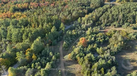 2650B Upper Flinton Road Addington Highlands ON K0H 1P0