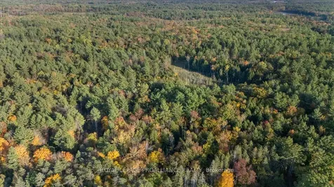 2650B Upper Flinton Road Addington Highlands ON K0H 1P0