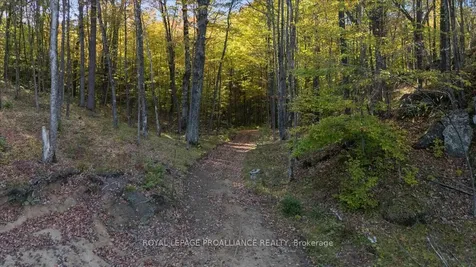 2650B Upper Flinton Road Addington Highlands ON K0H 1P0