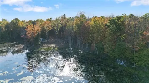 2650B Upper Flinton Road Addington Highlands ON K0H 1P0