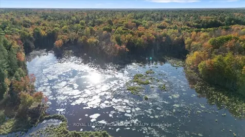 2650B Upper Flinton Road Addington Highlands ON K0H 1P0