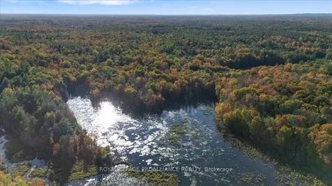 2650B Upper Flinton Road Addington Highlands ON K0H 1P0