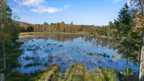 2650B Upper Flinton Road Addington Highlands ON K0H 1P0