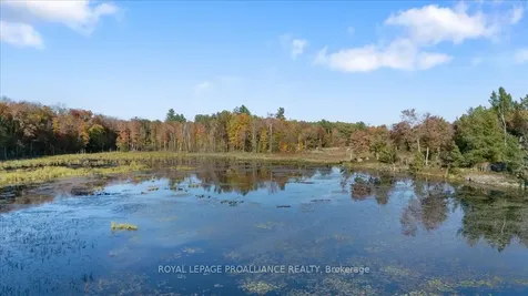 2650B Upper Flinton Road Addington Highlands ON K0H 1P0