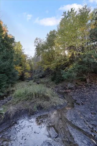 2650B Upper Flinton Road Addington Highlands ON K0H 1P0