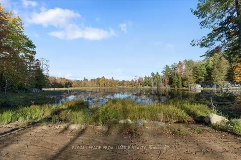 2650B Upper Flinton Road Addington Highlands ON K0H 1P0