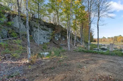 2650B Upper Flinton Road Addington Highlands ON K0H 1P0