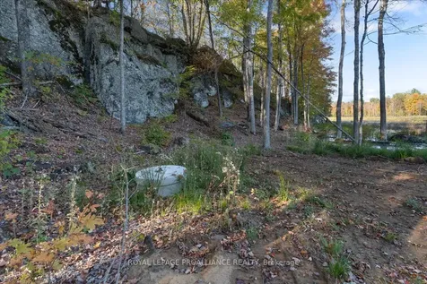 2650B Upper Flinton Road Addington Highlands ON K0H 1P0