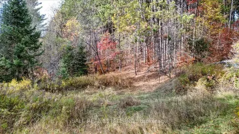 463 Quarry Road Bancroft ON K0L 1C0