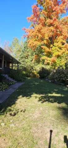 10175 Highway 41 Highway Addington Highlands ON K0H 1Z0
