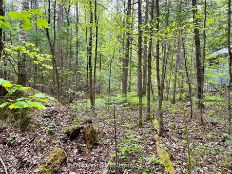 122 Western Drive Bonnechere Valley ON K0J 1T0