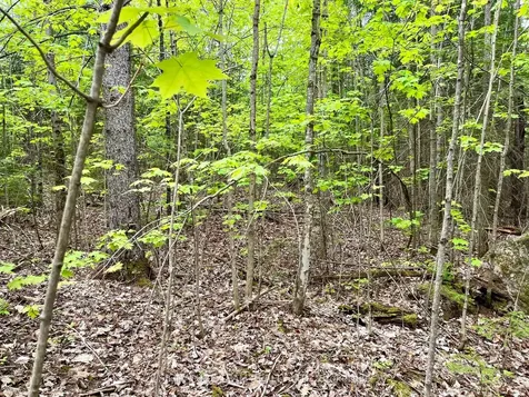 122 Western Drive Bonnechere Valley ON K0J 1T0