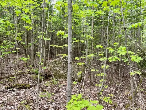 122 Western Drive Bonnechere Valley ON K0J 1T0