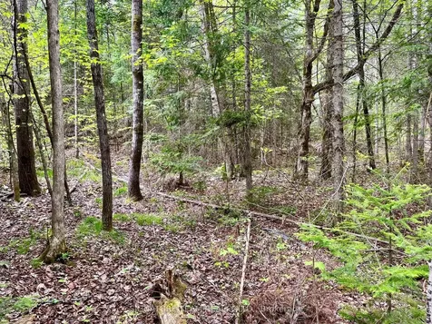 122 Western Drive Bonnechere Valley ON K0J 1T0