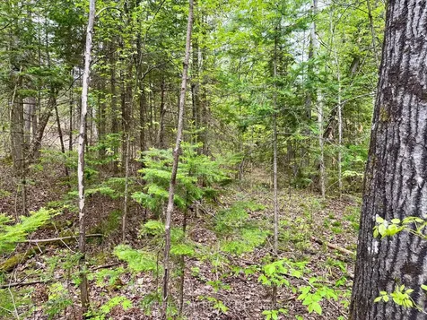 122 Western Drive Bonnechere Valley ON K0J 1T0