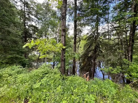 76 York River Drive Bancroft ON K0L 1C0