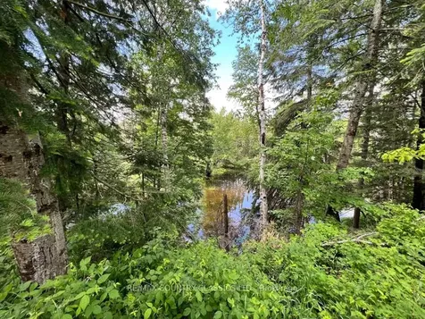 76 York River Drive Bancroft ON K0L 1C0