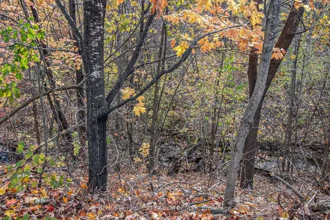 3 River Ridge Crescent Arnprior ON K7S 3W1