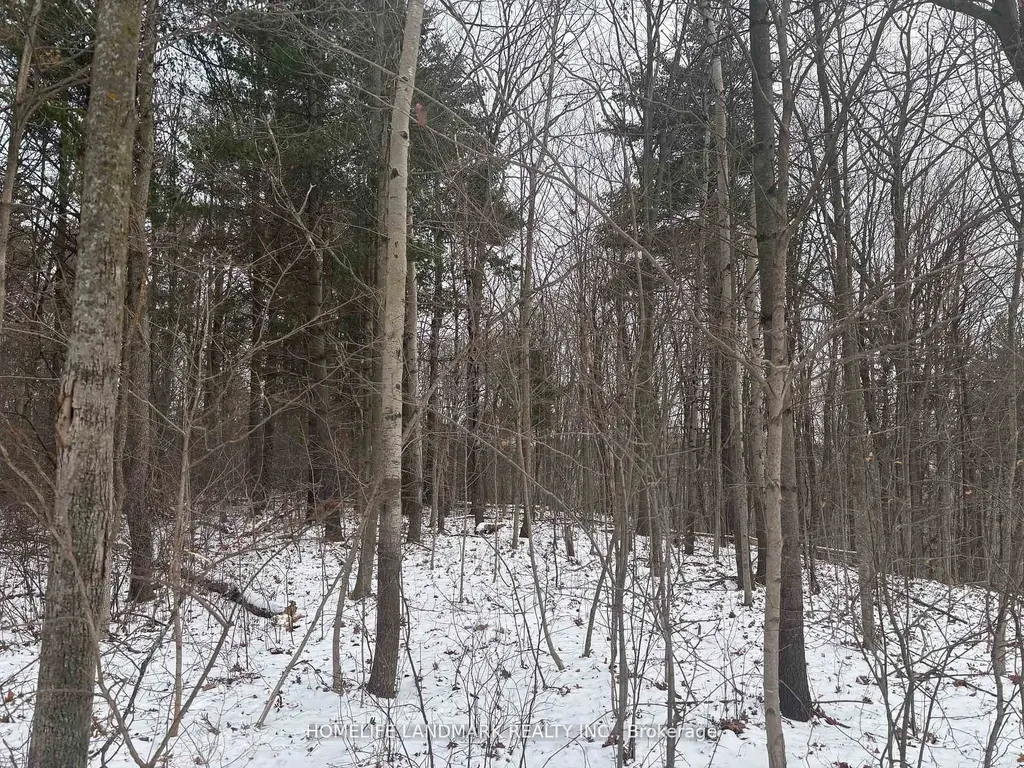 Lt 45 Con 7 Ebr Lindsay N/a Northern Bruce Peninsula ON N0H 1Z0