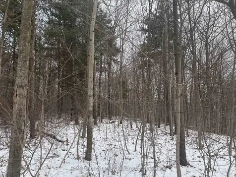 Lt 45 Con 7 Ebr Lindsay N/a Northern Bruce Peninsula ON N0H 1Z0