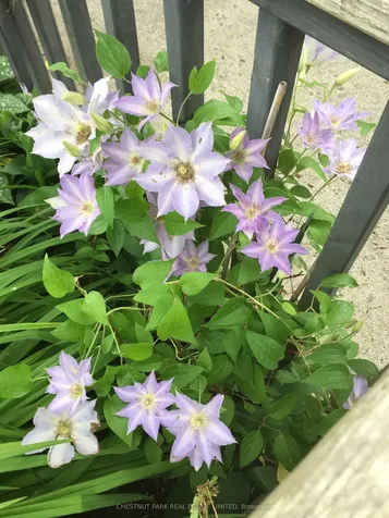 1336 County Road 11 N/a Prince Edward County ON K0K 2T0