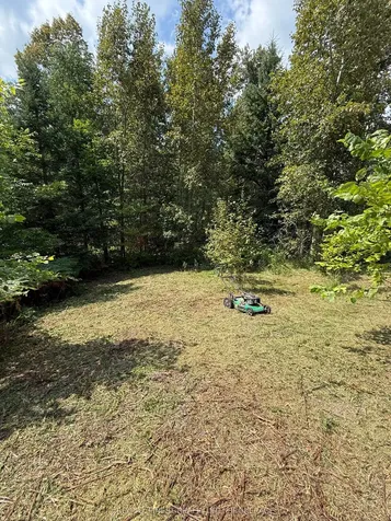 21508 Highway 41 N/a Addington Highlands ON K0H 1L0
