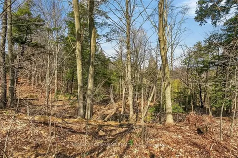 117 Willowdale Crescent Norfolk ON N0A 1N5