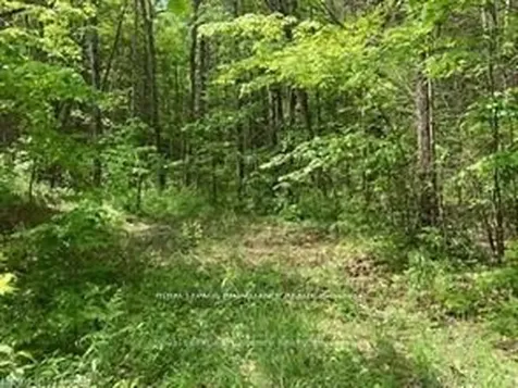 338 Glen Allen Road S Marmora And Lake ON K0K 2M0
