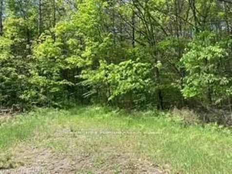 338 Glen Allen Road S Marmora And Lake ON K0K 2M0
